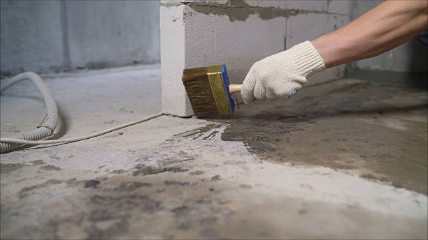 SJ Waterproofing Pros Basement Waterproofing coverage map for Riddleton, TN and surrounding area